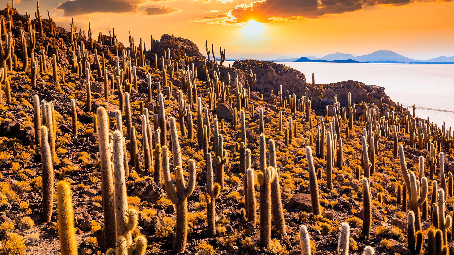 Sunrise and Sunsets wallpaper